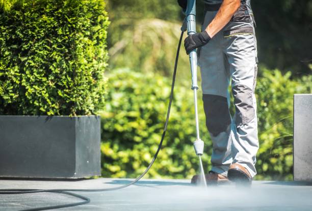 Best Animal Enclosure Cleaning  in Wilsonville, AL