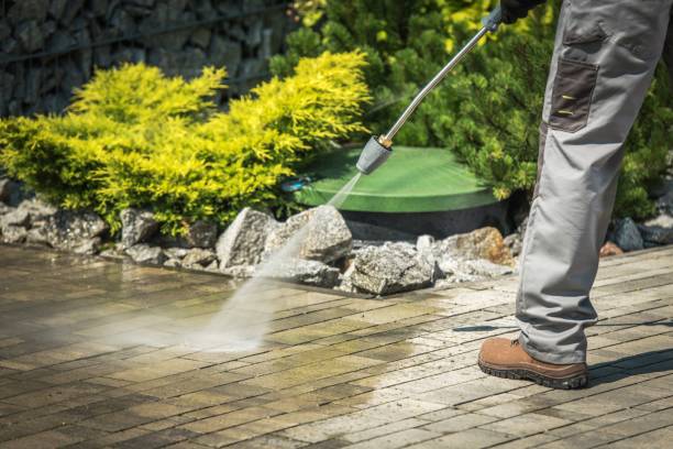 Best Pre-Holiday Cleaning  in Wilsonville, AL